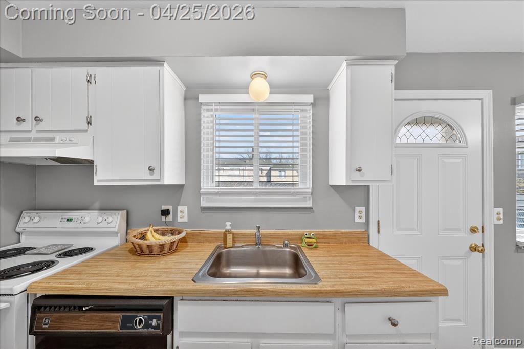 445 Baldwin Avenue, Rochester, MI 48307 — Photo 14
