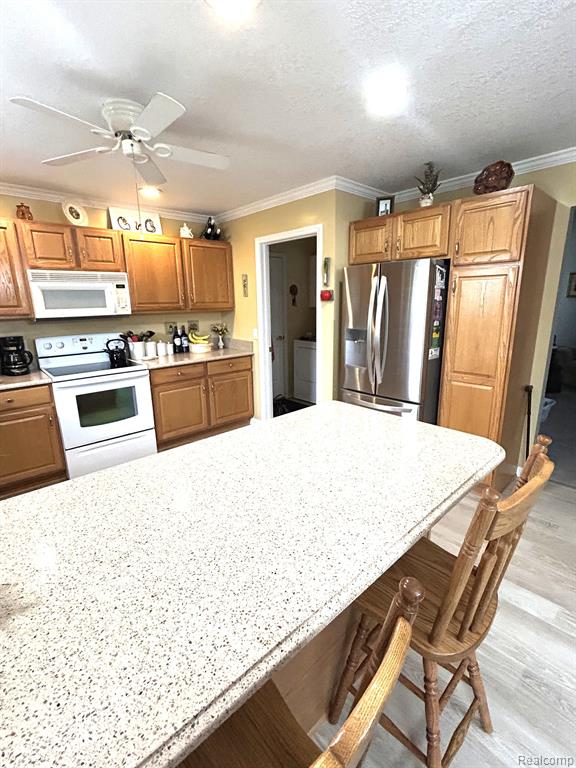 637 RIDGE Lane, B, Tecumseh, MI 49286 — Photo 25