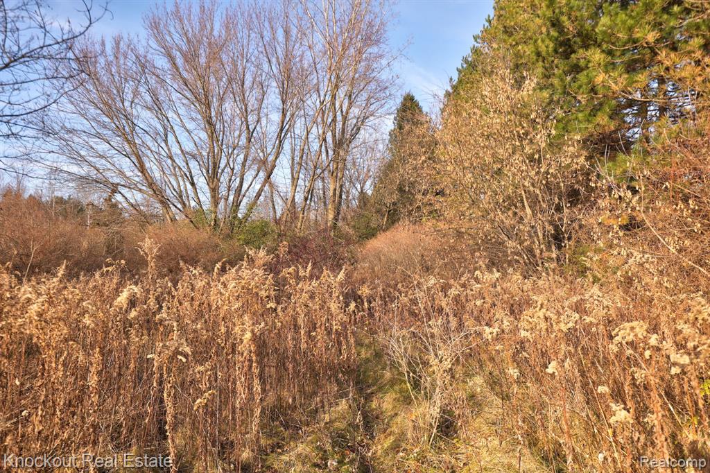 4800 Swaffer Road, Millington, MI 48746 — Photo 7