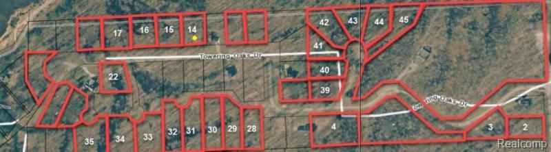 Lot 16 Towering Oaks Drive, Port Austin, MI — Photo 6