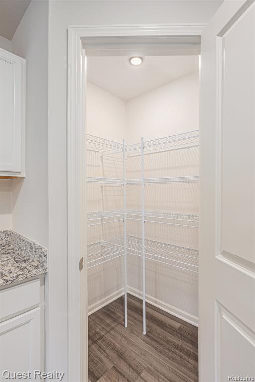 7341 RED MAPLE Drive, Mount Morris, MI 48458 — Photo 10