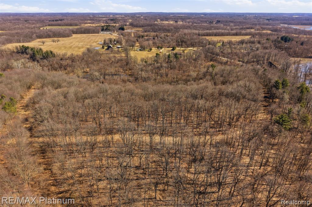 2555 E Cohoctah Road, Howell, MI 48855 — Photo 27