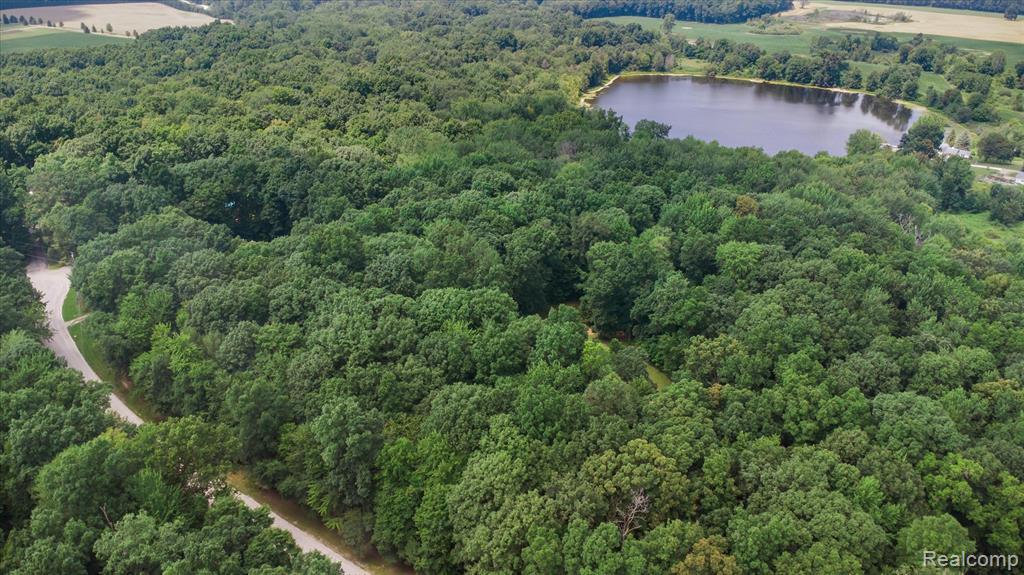 5849 Whispering Oaks Drive, Howell, MI 48855 — Photo 44