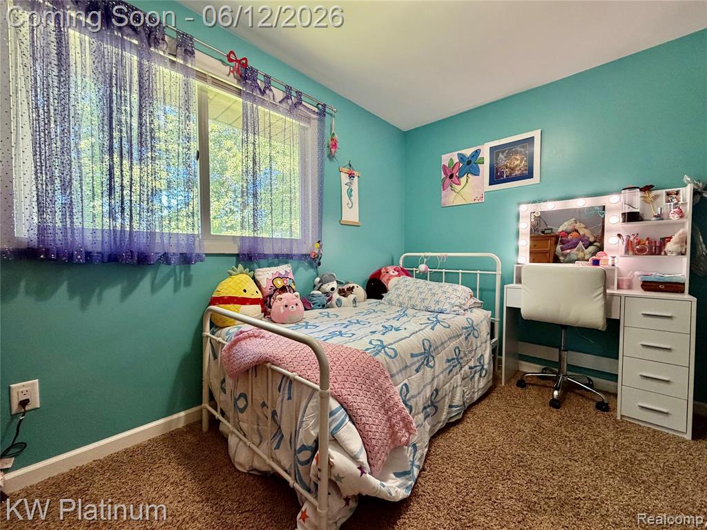 4059 Galbraith Line Road, Croswell, MI 48422 — Photo 17