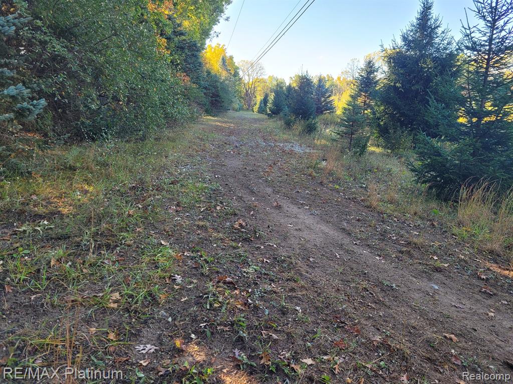 Parc B Tipsico Lake Road, Hartland, MI 48353 — Photo 22