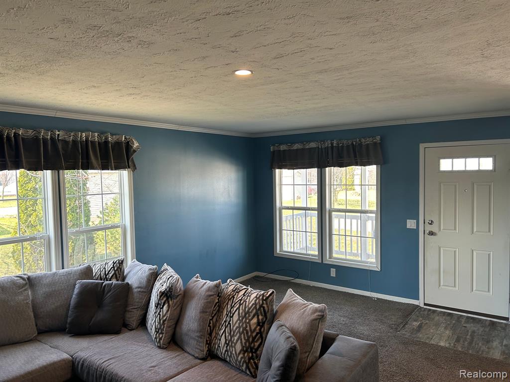 1698 SOLO Lane, Newport, MI 48166 — Photo 11