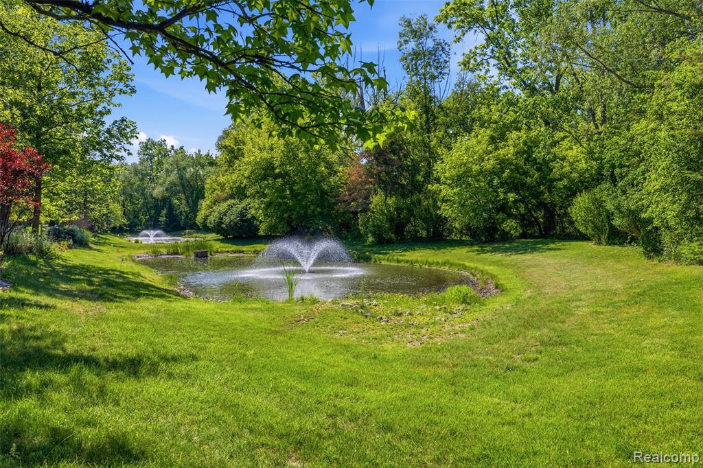 47041 Hidden River Circle N, Canton, MI 48188 — Photo 50