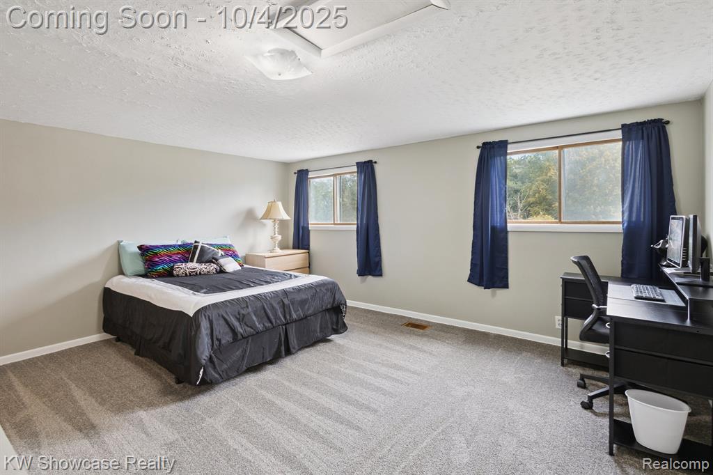 9967 N Clinton Trail, Mulliken, MI 48861 — Photo 14