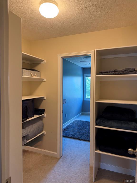 16118 Jeff Court, Grand Ledge, MI 48837 — Photo 55
