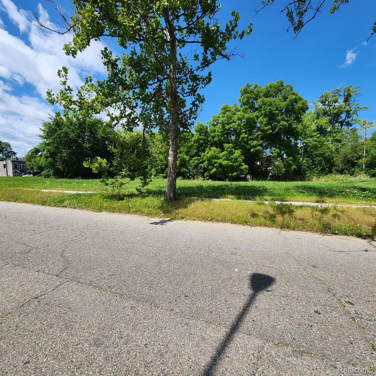 945 E EUCLID Street, Detroit, MI 48211 — Photo 6