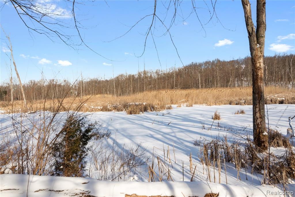 12155 Spencer Road, Milford, MI 48380 — Photo 25