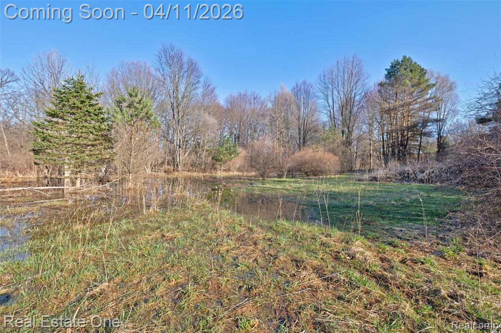 6400 Oak Hill Road, Ortonville, MI 48462 — Photo 70