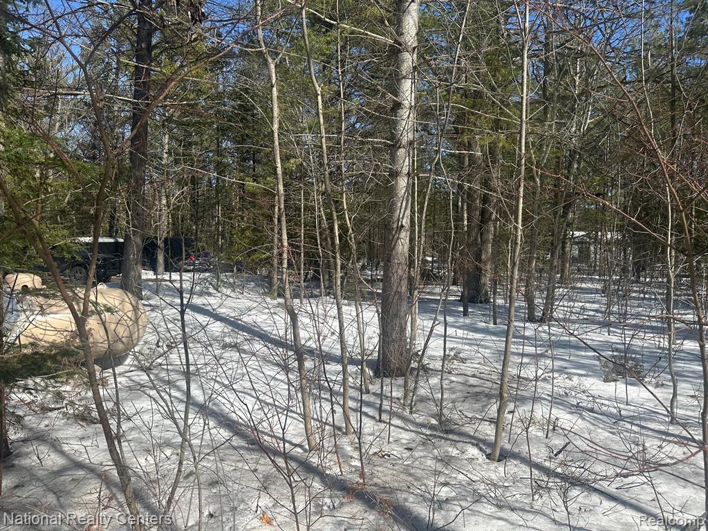 15967 NE SPRUCE Drive E, Presque Isle, MI 49777 — Photo 55