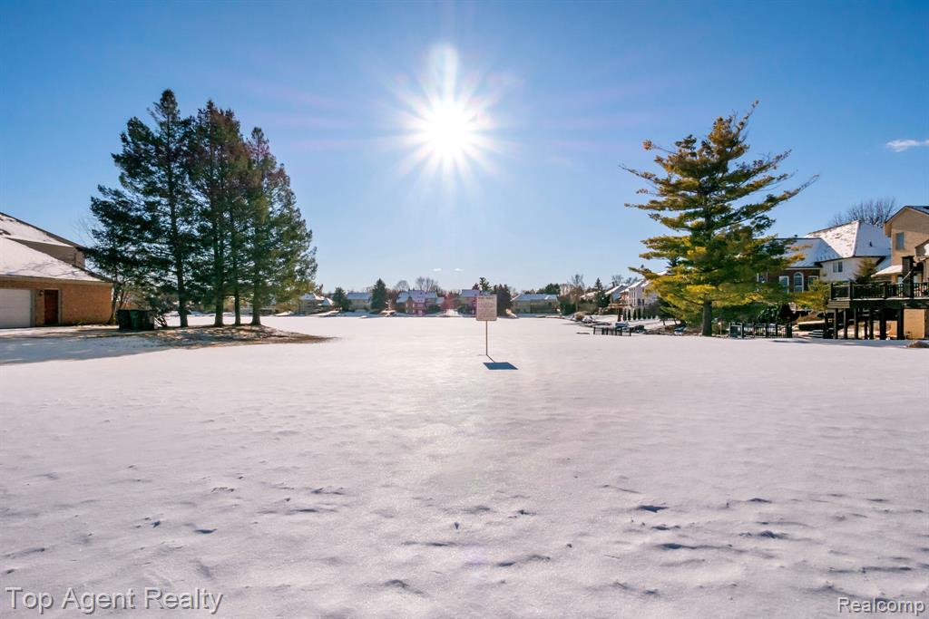 8804 Grace Street, Shelby Twp, MI 48317 — front exterior