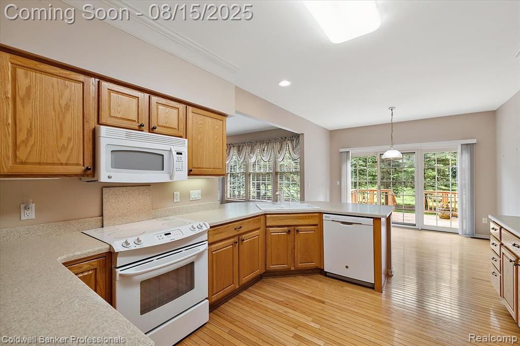 51373 Northview, Plymouth, MI 48170 — Photo 20