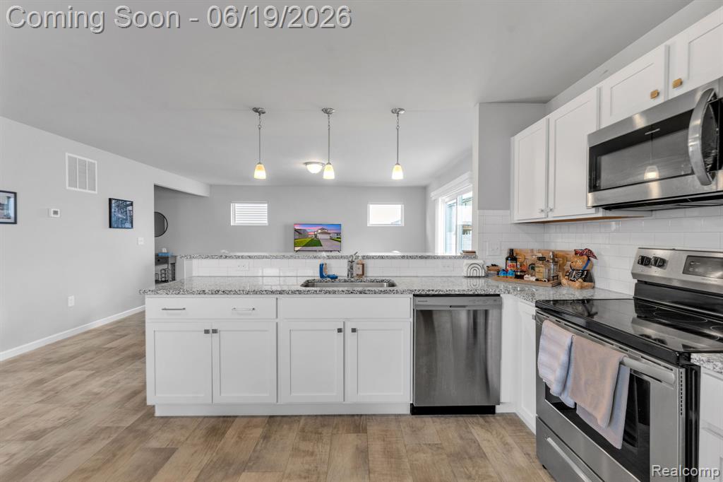 2907 Jordan River Drive, Fowlerville, MI 48836 — Photo 10
