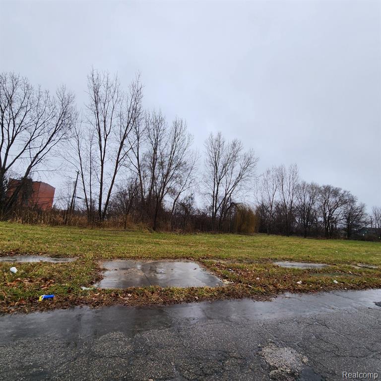 2661 HENDRICKS Street, Detroit, MI 48207 — Photo 2