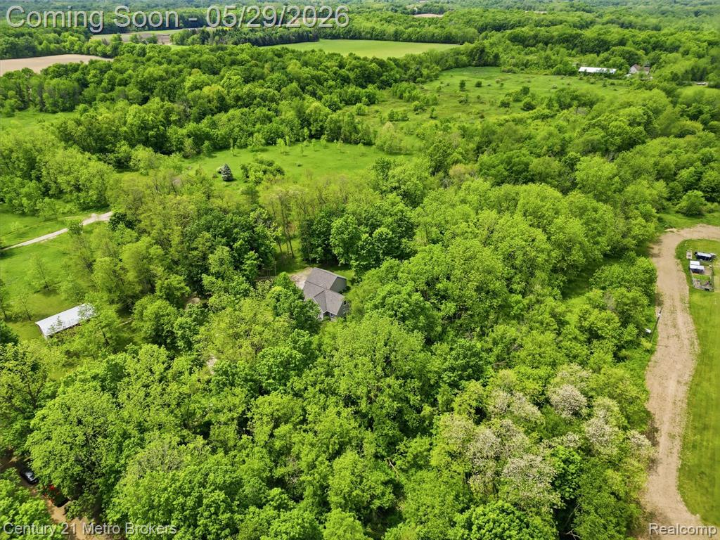 11447 N Latson Road, Linden, MI 48451 — Photo 4