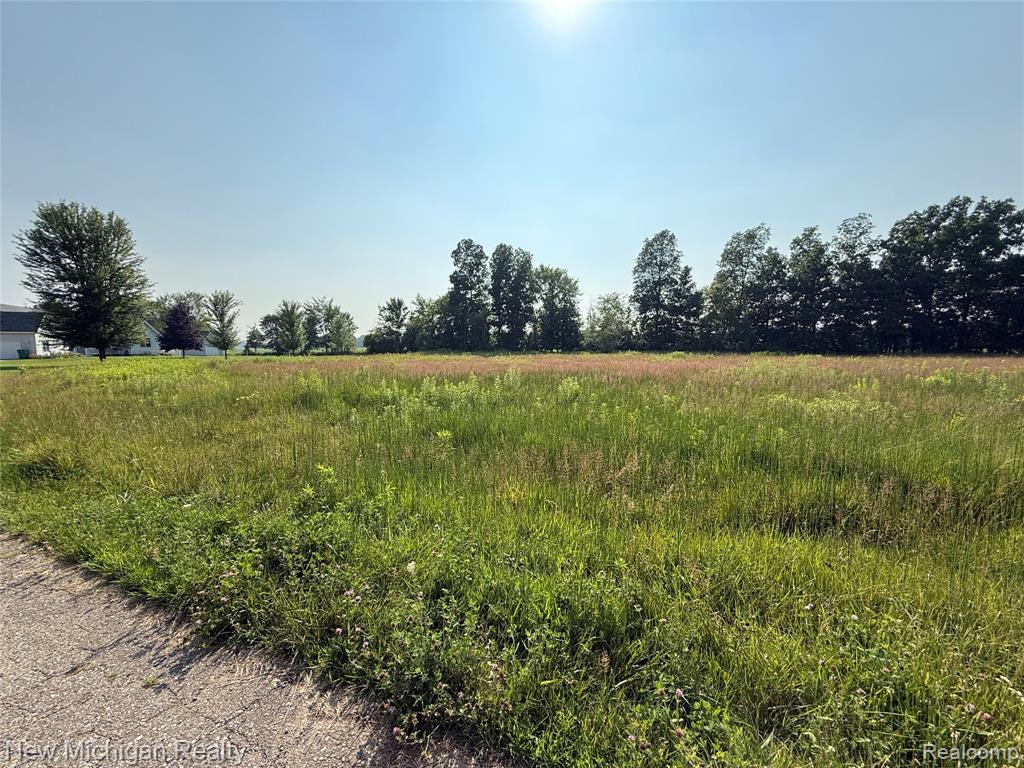 9807 Oak Ridge Road, New Lothrop, MI 48460 — Photo 9