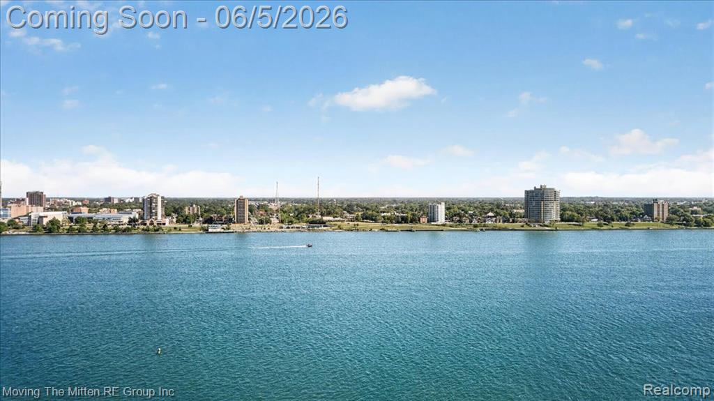 1001 W JEFFERSON Avenue, 17D, Detroit, MI 48226 — Photo 41