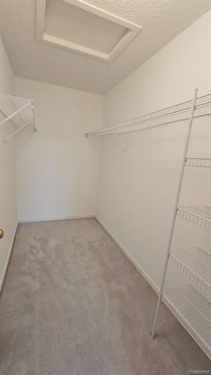 41780 WEBSTER, Novi, MI — Photo 13