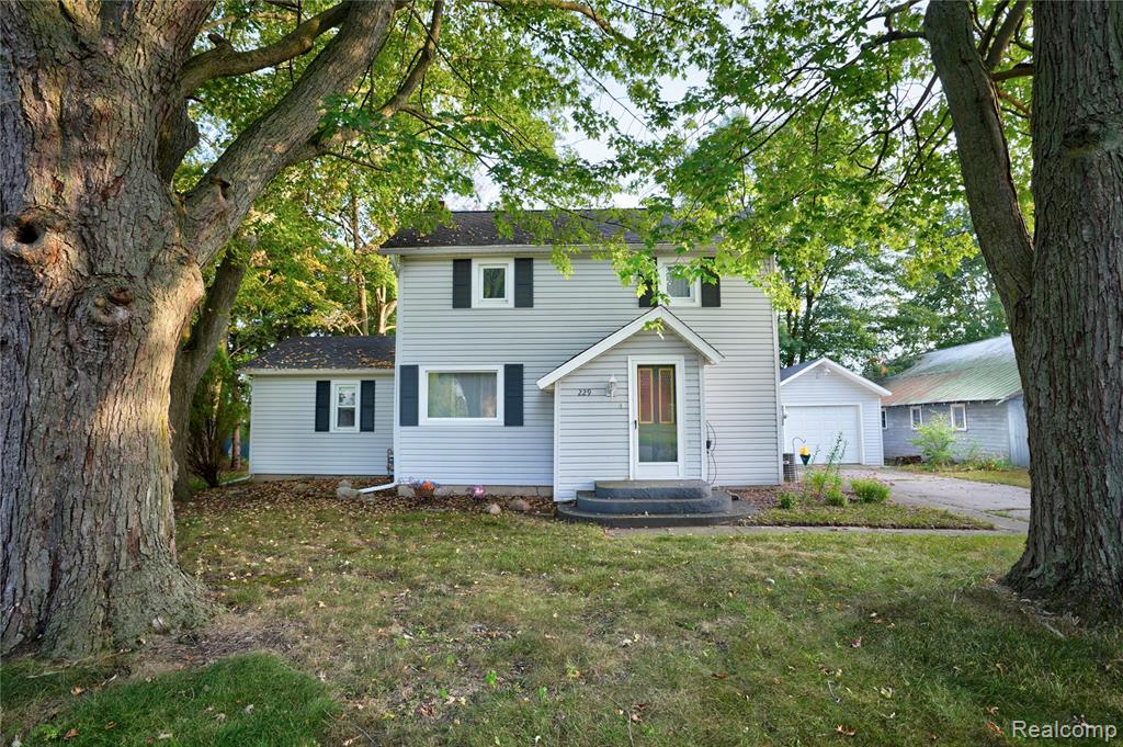 229 W Maple Street, Elsie, MI 48831 — front exterior