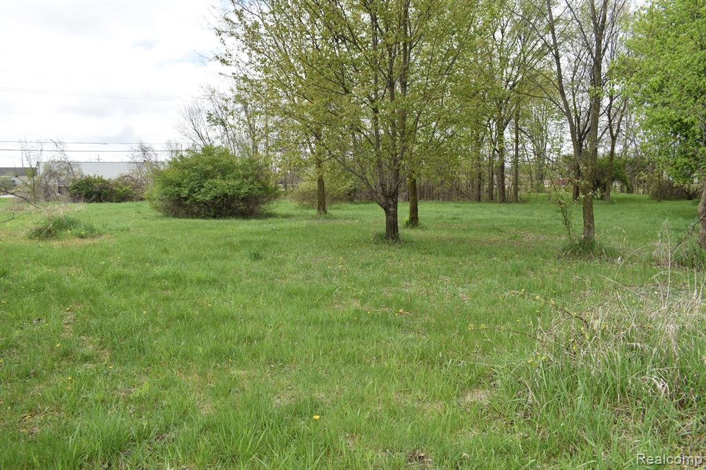 VL Grand River Avenue, Fowlerville, MI 48836 — Photo 6