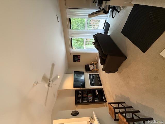 390 S Spring Brooke Drive, 390, Brighton, MI 48116 — Photo 18