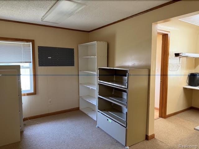 971 Baldwin Road, Lapeer, MI 48446 — Photo 11