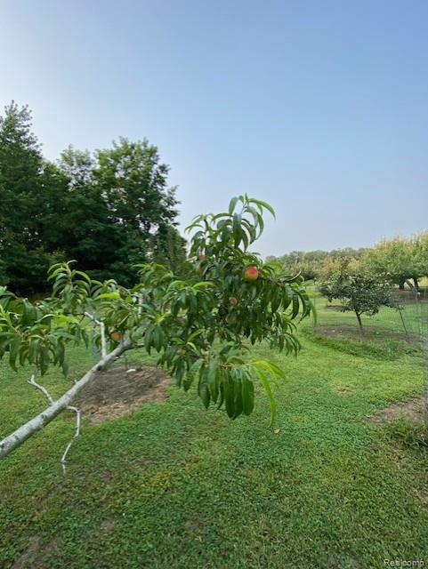 7762 Mason Road, Yale, MI 48097 — Photo 14
