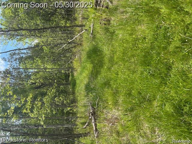 4148 Blue Vista Drive, Evart, MI 49631 — Photo 28