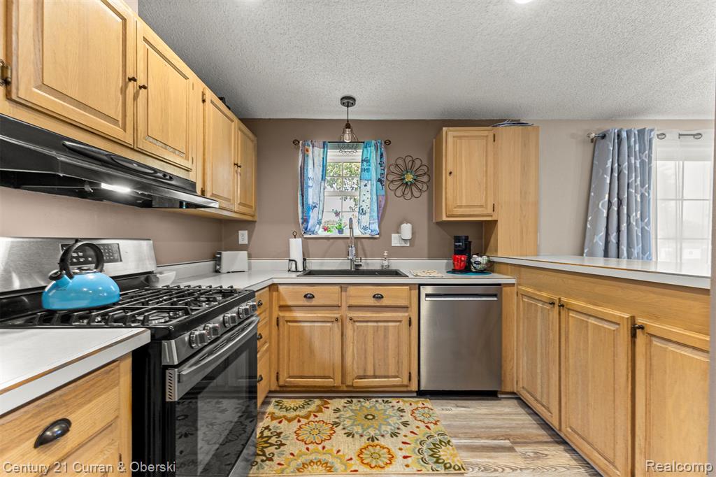 4625 Bluebush Rd, Raisinville, MI 48162 — Photo 11