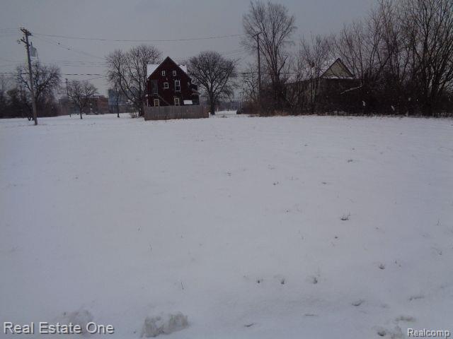 446 CONCORD Street, Detroit, MI 48207 — Photo 2