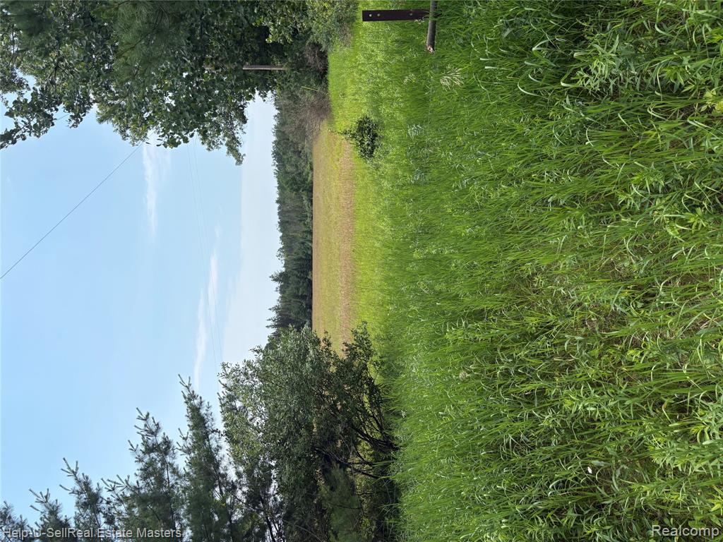 9999 W. Hubert rd Road, Hubbard Lake, MI 49747 — Photo 4