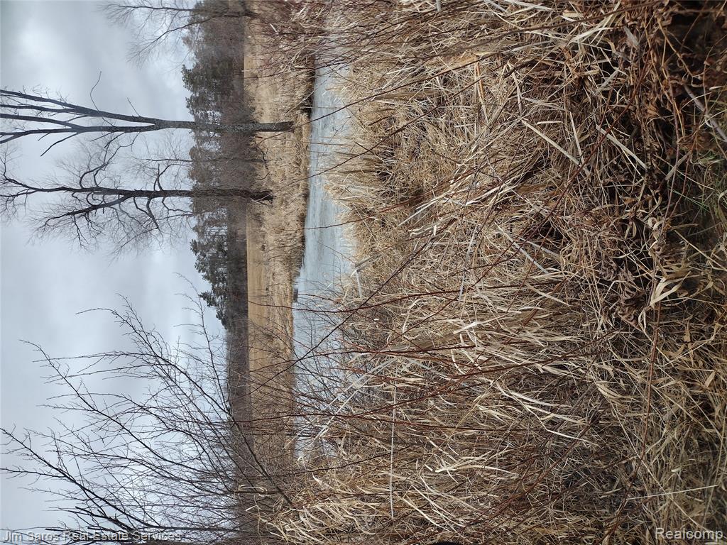 4771 E County Line Road, South Branch, MI 48761 — Photo 10