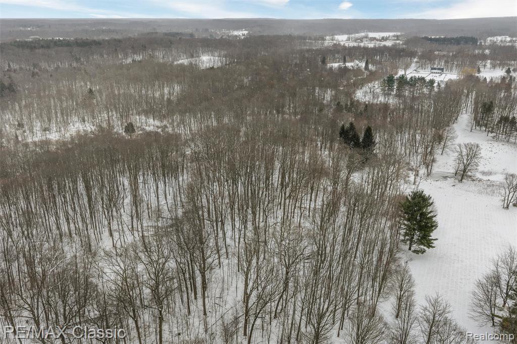 3737 Rock Valley, Metamora, MI 48455 — Photo 8