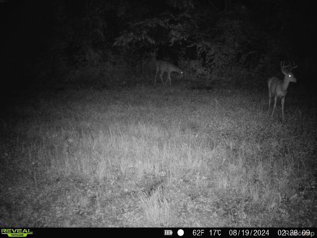 V/L BLAKE Road, Jackson, MI 49201 — Photo 80