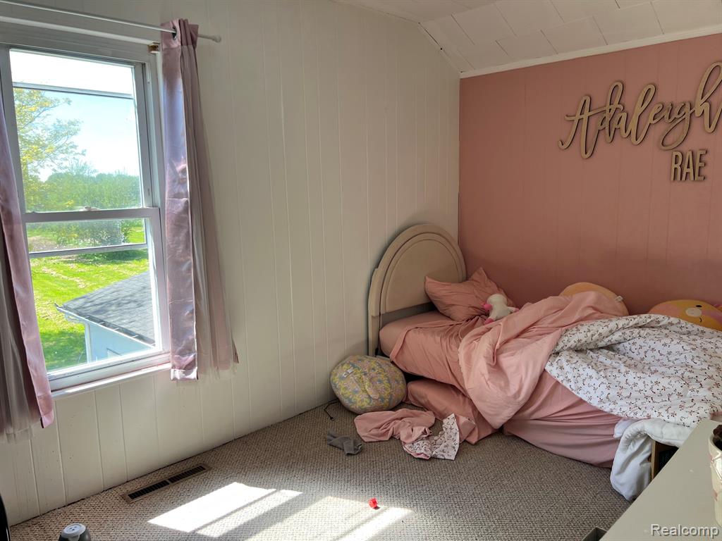 1464 S Force Road, Attica, MI 48412 — Photo 13