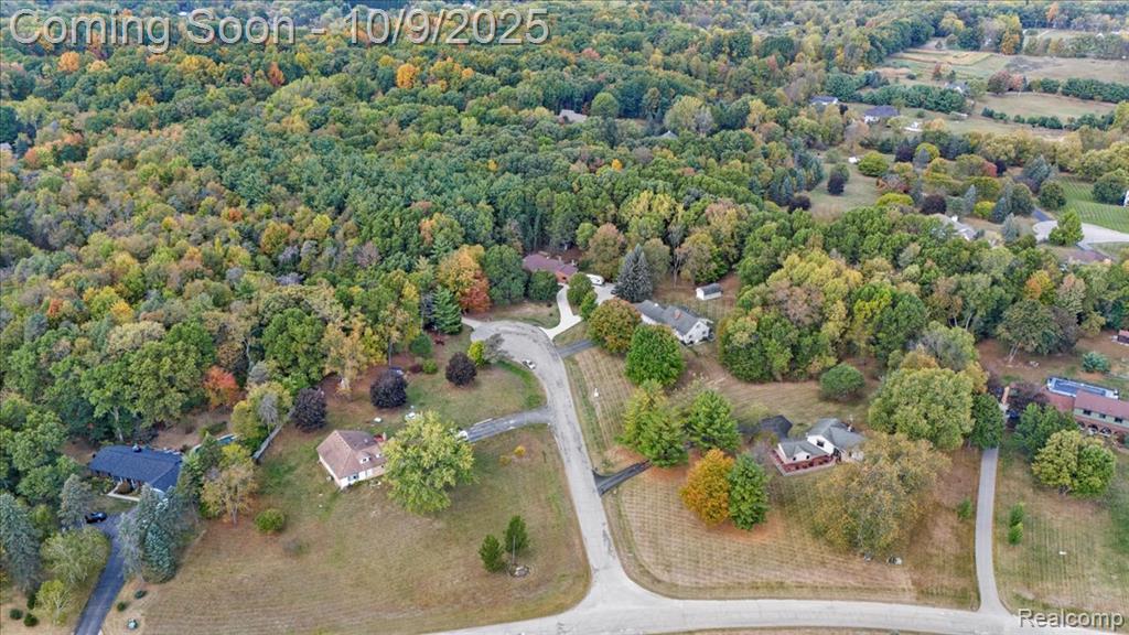 12190 Carriage Trail Circle, Davisburg, MI 48350 — Photo 54