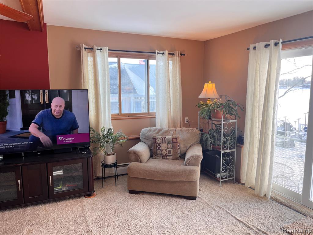 8252 Woodland Shore Drive, Brighton, MI 48114 — Photo 10