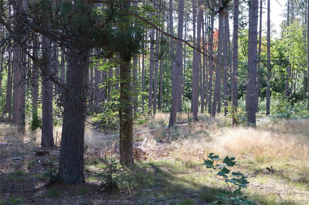 Lot D W Pendills Lake Road, Brimley, MI 49715 — Photo 44