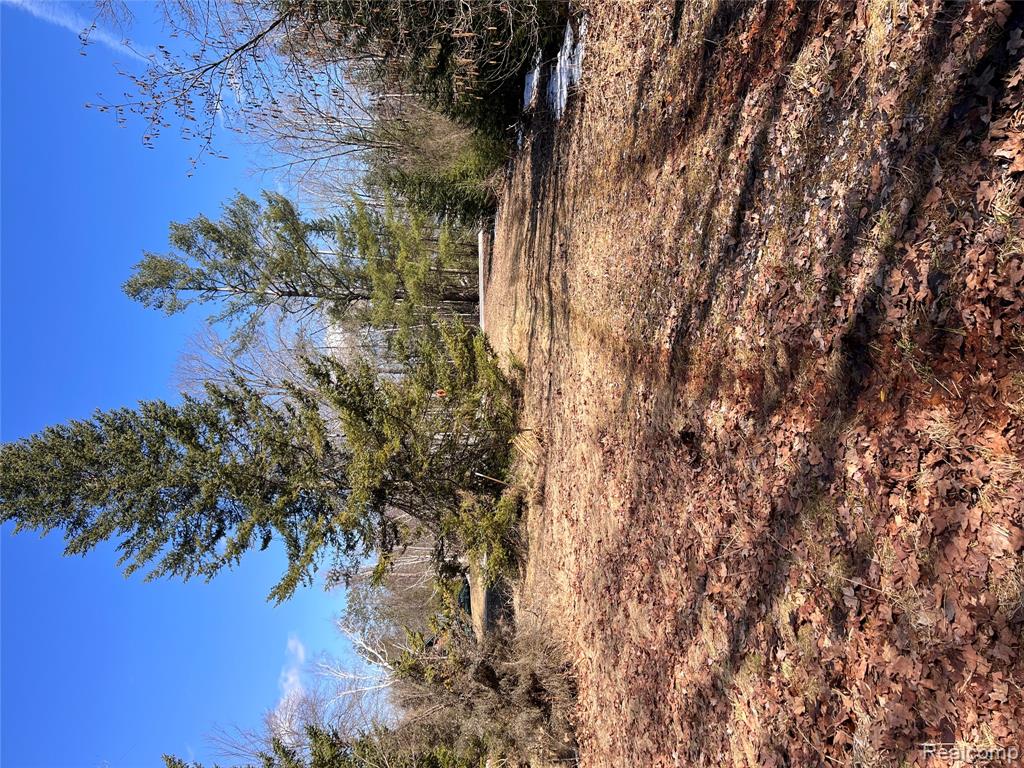 550 S Oak Avenue, White Cloud, MI, 49349