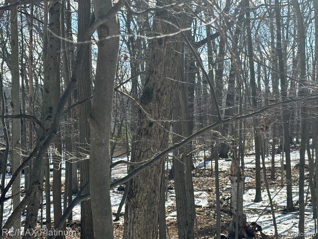 V/L TIPSICO LAKE ROAD, Holly, MI 48442 — Photo 8