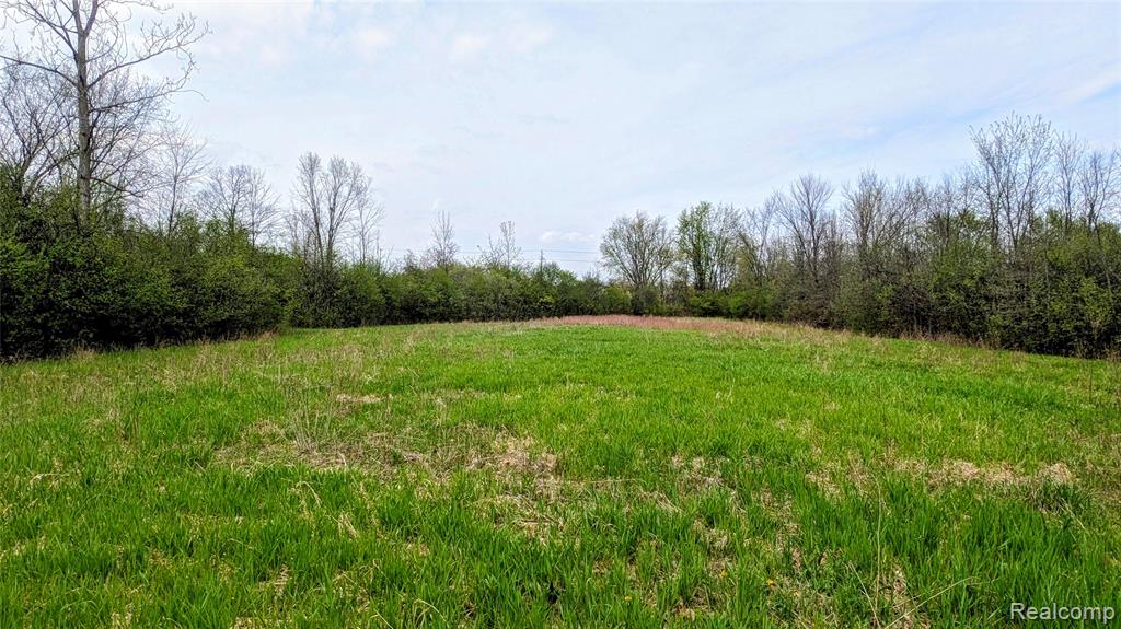 44043 Tyler Road, Belleville, MI 48111 — Photo 10