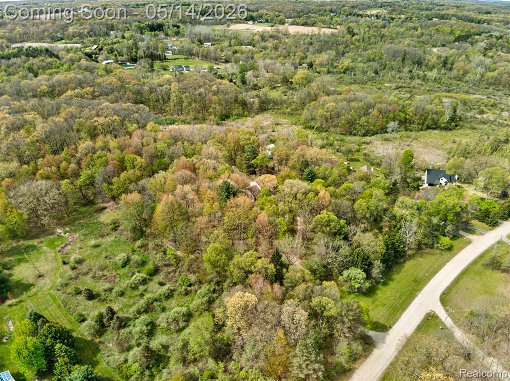 1485 Houghton Trail, Ortonville, MI 48462 — Photo 61