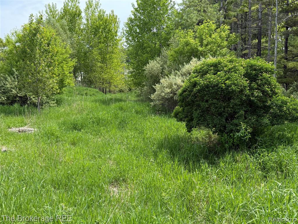 3020 Merwin Road, Lapeer, MI, 48446