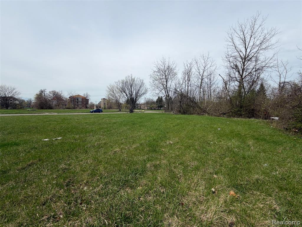 688 Field Street, Detroit, MI 48214 — Photo 2