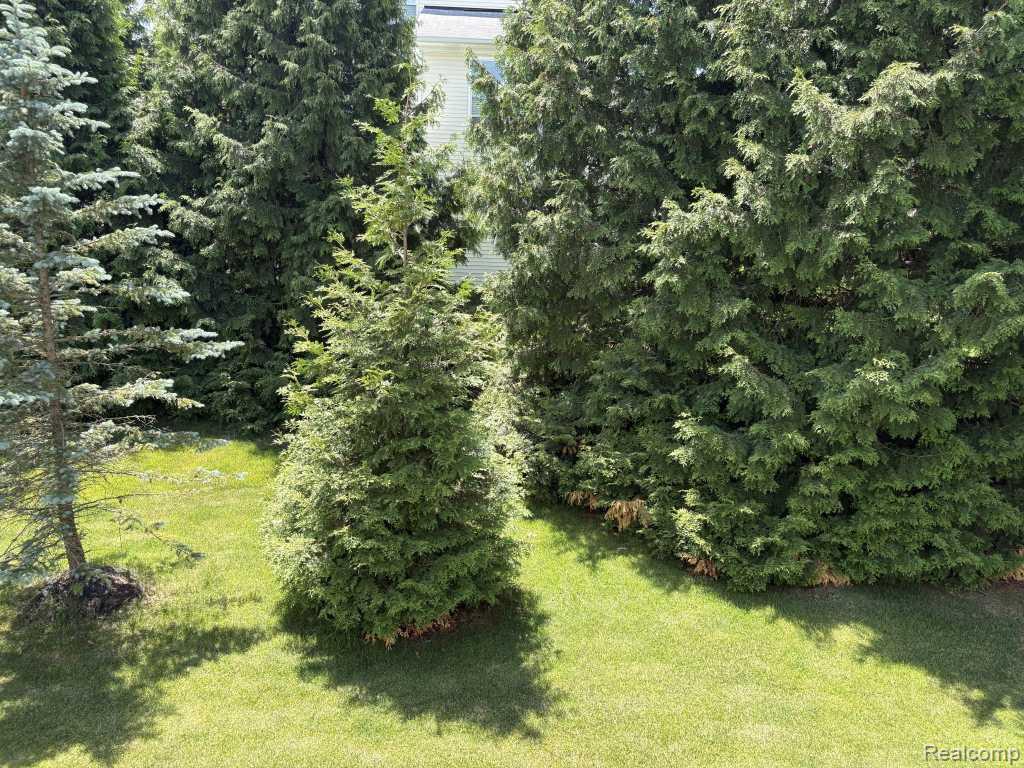 124 Champlain Boulevard, Howell, MI 48843 — Photo 31
