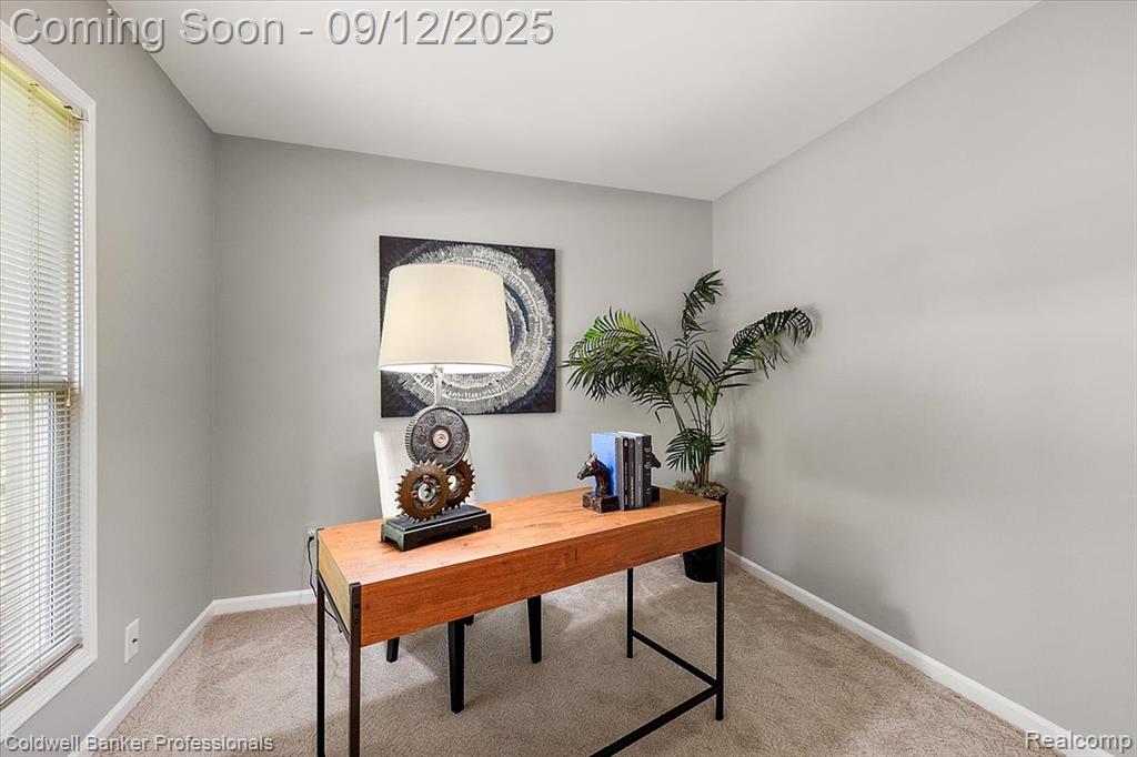 49238 Plum Tree Drive, Plymouth, MI 48170 — Photo 19