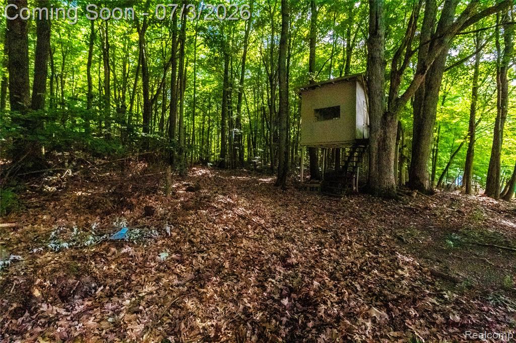 2436 Judy Conn Drive, Lapeer, MI 48446 — Photo 37